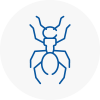 Ant Removals In South Benfleet