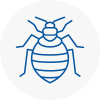 Bed Bug Extermination In South Benfleet