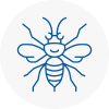 South Benfleet Hornet Nest Removals