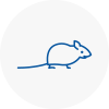 Mice Exterminators In South Benfleet