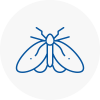 Moth Control Specialists In South Benfleet