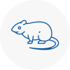 Rat Control South Benfleet