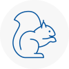 South Benfleet Rodent Removals