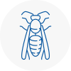 South Benfleet Wasp Nest Removal